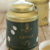 CAMILLE Le Signore delle Camelie - immagine 3
