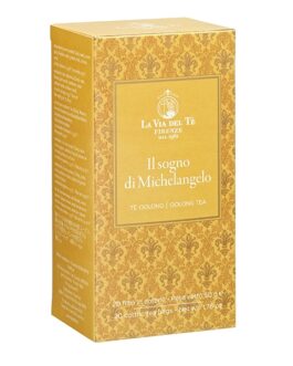 IL SOGNO DI MICHELANGELO in filtri